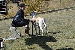 HHB2-10-14-12-1434-DDeRosaPhoto