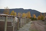 HHB2-10-16-12-2200-DDeRosaPhoto-DDeRosaPhoto
