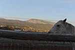 HHB2-10-16-12-2208-DDeRosaPhoto-DDeRosaPhoto