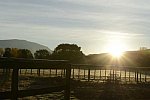 HHB2-10-16-12-2252-DDeRosaPhoto-DDeRosaPhoto