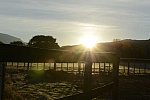 HHB2-10-16-12-2253-DDeRosaPhoto-DDeRosaPhoto