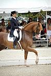 CatherineHaddadStaller-Winyamaro-USEF_2010_WEG_SelTrials_DER_5994-DDeRosaPhoto.jpg