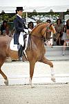 CatherineHaddadStaller-Winyamaro-USEF_2010_WEG_SelTrials_DER_5995-DDeRosaPhoto.jpg