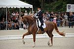 CatherineHaddadStaller-Winyamaro-USEF_2010_WEG_SelTrials_DER_6012-DDeRosaPhoto.jpg