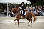 CatherineHaddadStaller-Winyamaro-USEF_2010_WEG_SelTrials_DER_6013-DDeRosaPhoto.jpg