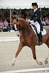 CatherineHaddadStaller-Winyamaro-USEF_2010_WEG_SelTrials_DER_6050-DDeRosaPhoto.jpg