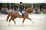 CatherineHaddadStaller-Winyamaro-USEF_2010_WEG_SelTrials_DER_6094-DDeRosaPhoto.jpg