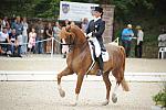 CatherineHaddadStaller-Winyamaro-USEF_2010_WEG_SelTrials_DER_6100-DDeRosaPhoto.jpg