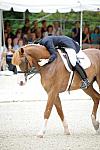 CatherineHaddadStaller-Winyamaro-USEF_2010_WEG_SelTrials_DER_6107-DDeRosaPhoto.jpg