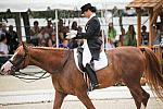 CatherineHaddadStaller-Winyamaro-USEF_2010_WEG_SelTrials_DER_6109-DDeRosaPhoto.jpg