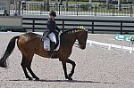 FLORIDA-GLOBAL DRESSAGE