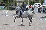 HHB-3-16-13-FL-03199-EviStrasser-RenaissanceTyme-CAN-DDeRosaPhoto