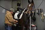 HHB1-10-13-12-9235-EauDeVie-DDeRosaPhoto