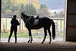 HHB1-10-13-12-9347-EauDeVie-MarianNilsen-DDeRosaPhoto