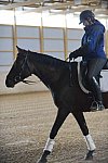 HHB1-10-13-12-9359-EauDeVie-MarianNilsen-DDeRosaPhoto