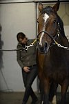 HHB1-10-13-12-9642-EauDeVie-MarianNilsen-DDeRosaPhoto
