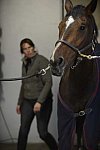 HHB1-10-13-12-9649-EauDeVie-MarianNilsen-DDeRosaPhoto