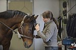 HHB1-10-13-12-9690-Atego-MarianNilsen-DDeRosaPhoto
