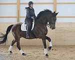 HHB1-10-13-12-9884-Atego-MarianNilsen-DDeRosaPhoto