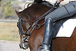 HHB2-10-14-12-1621-Atego-MarianNilsen-DDeRosaPhoto