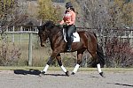 HHB2-10-14-12-1624-Atego-MarianNilsen-DDeRosaPhoto