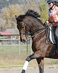 HHB2-10-14-12-1671-Atego-MarianNilsen-DDeRosaPhoto