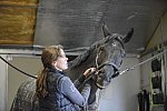 HHB2-10-13-12-0490-Frodo-MarianNilsen-DDeRosaPhoto