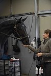 HHB2-10-13-12-0507-Frodo-MarianNilsen-DDeRosaPhoto
