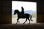 HHB2-10-13-12-0545-Frodo-MarianNilsen-DDeRosaPhoto