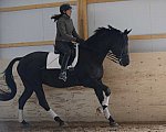 HHB2-10-13-12-0563-Frodo-MarianNilsen-DDeRosaPhoto