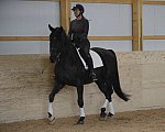 HHB2-10-13-12-0583-Frodo-MarianNilsen-DDeRosaPhoto