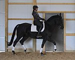 HHB2-10-13-12-0591-Frodo-MarianNilsen-DDeRosaPhoto