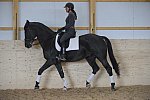 HHB2-10-13-12-0612-Frodo-MarianNilsen-DDeRosaPhoto