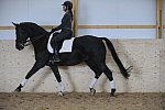 HHB2-10-13-12-0650-Frodo-MarianNilsen-DDeRosaPhoto