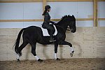 HHB2-10-13-12-0675-Frodo-MarianNilsen-DDeRosaPhoto