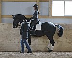 HHB2-10-13-12-0758-Frodo-MarianNilsen-DDeRosaPhoto