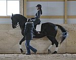 HHB2-10-13-12-0759-Frodo-MarianNilsen-DDeRosaPhoto