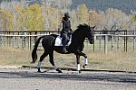 HHB2-10-14-12-1359-Frodo-MarianNilsen-DDeRosaPhoto