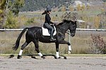 HHB2-10-14-12-1360-Frodo-MarianNilsen-DDeRosaPhoto