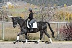 HHB2-10-14-12-1372-Frodo-MarianNilsen-DDeRosaPhoto