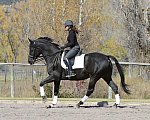 HHB2-10-14-12-1378-Frodo-MarianNilsen-DDeRosaPhoto