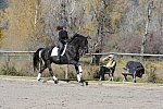 HHB2-10-14-12-1402-Frodo-MarianNilsen-DDeRosaPhoto