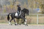 HHB2-10-14-12-1403-Frodo-MarianNilsen-DDeRosaPhoto