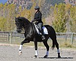 HHB2-10-14-12-1410-Frodo-MarianNilsen-DDeRosaPhoto