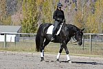 HHB2-10-14-12-1429-Frodo-MarianNilsen-DDeRosaPhoto