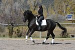 HHB2-10-14-12-1455-Frodo-MarianNilsen-DDeRosaPhoto