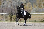 HHB2-10-14-12-1456-Frodo-MarianNilsen-DDeRosaPhoto