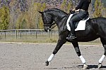HHB2-10-14-12-1534-Frodo-MarianNilsen-DDeRosaPhoto