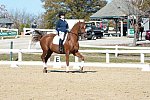 HHB-DressageFinals-11-8-13-0479-DDeRosaPhoto