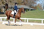 HHB-DressageFinals-11-8-13-0480-DDeRosaPhoto